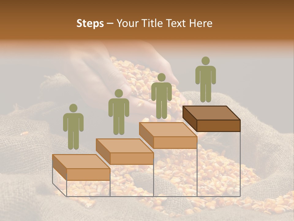 Grain Seeds Meal PowerPoint Template