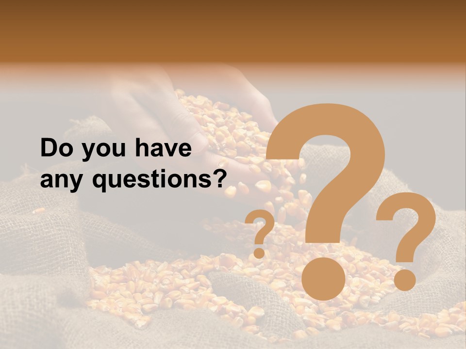 Grain Seeds Meal PowerPoint Template
