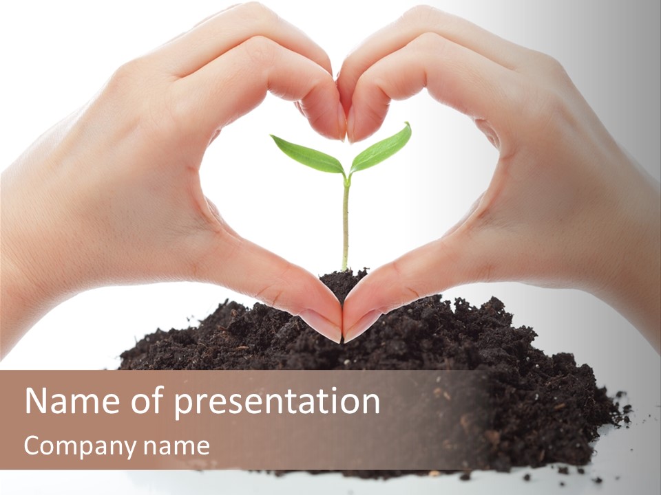 A Person Making A Heart Shape With Their Hands PowerPoint Template