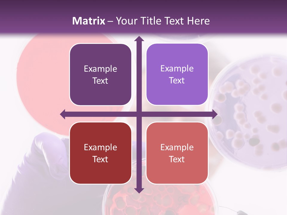 A Man In A Lab Coat Holding A Red Substance PowerPoint Template