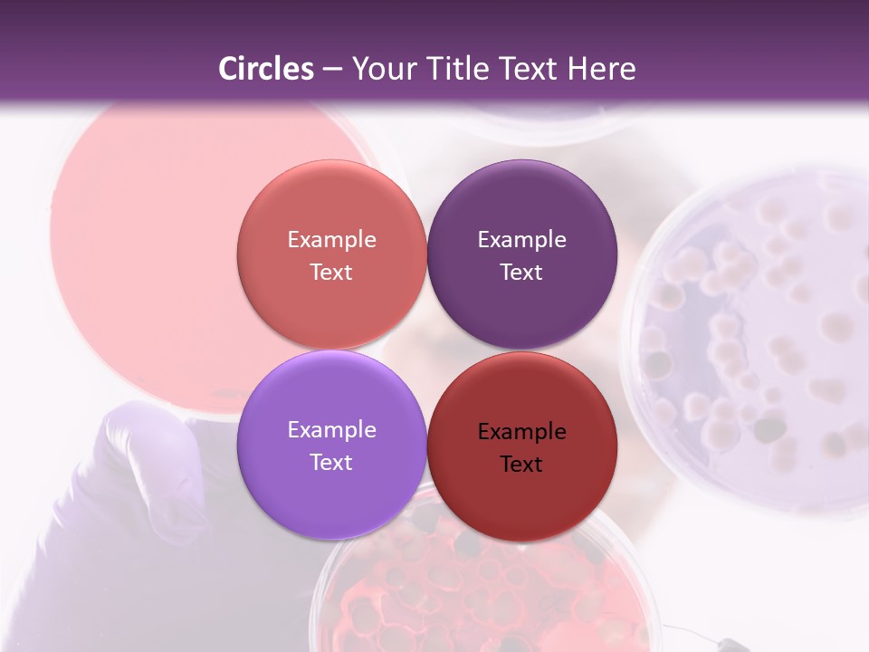 A Man In A Lab Coat Holding A Red Substance PowerPoint Template