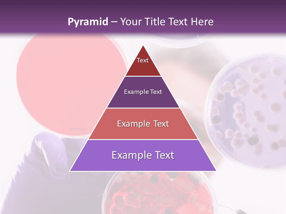 A Man In A Lab Coat Holding A Red Substance PowerPoint Template