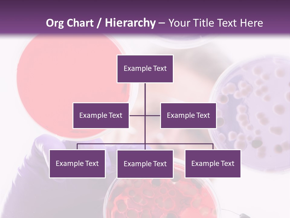 A Man In A Lab Coat Holding A Red Substance PowerPoint Template