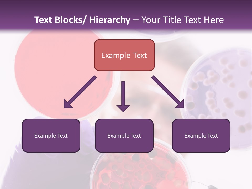 A Man In A Lab Coat Holding A Red Substance PowerPoint Template