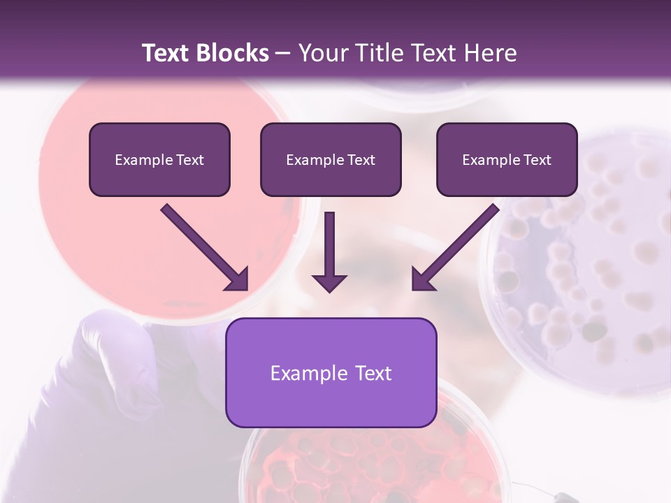 A Man In A Lab Coat Holding A Red Substance PowerPoint Template