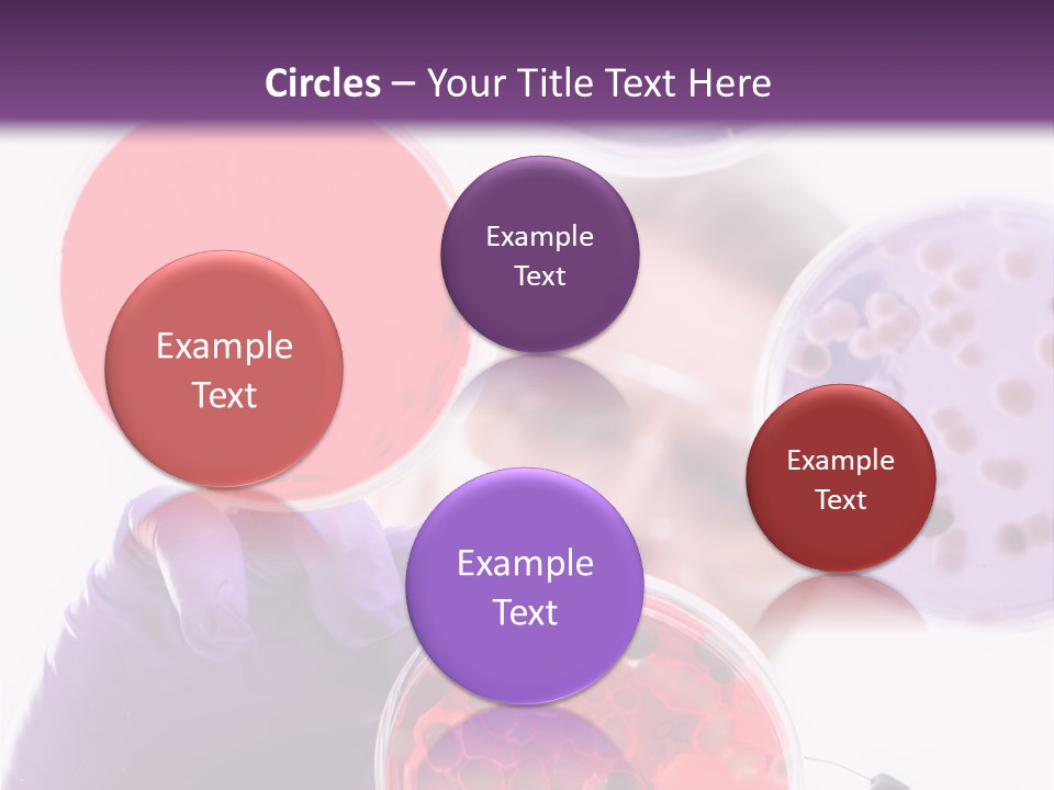 A Man In A Lab Coat Holding A Red Substance PowerPoint Template