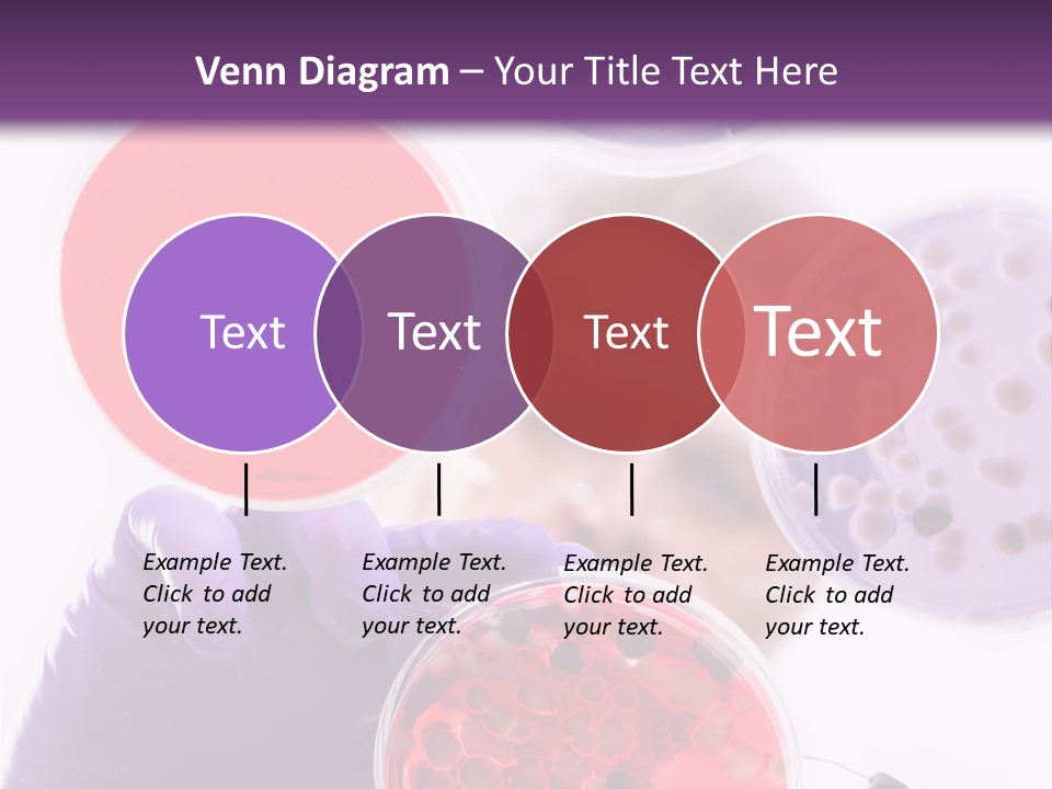 A Man In A Lab Coat Holding A Red Substance PowerPoint Template