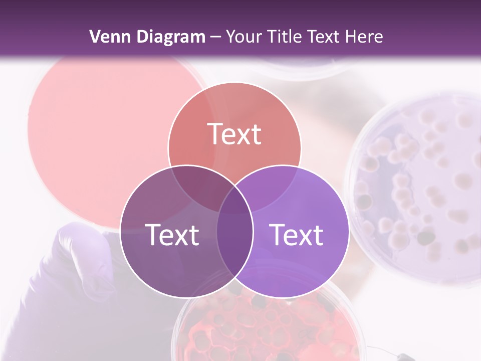 A Man In A Lab Coat Holding A Red Substance PowerPoint Template