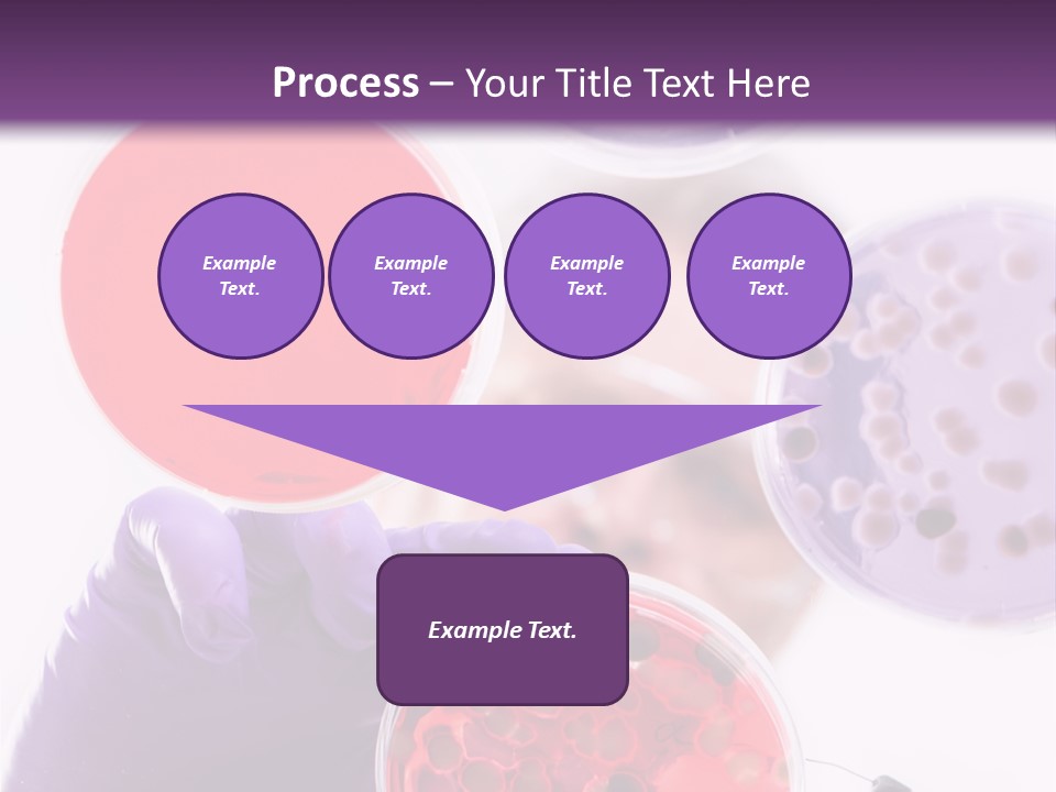 A Man In A Lab Coat Holding A Red Substance PowerPoint Template