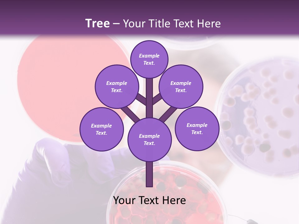 A Man In A Lab Coat Holding A Red Substance PowerPoint Template