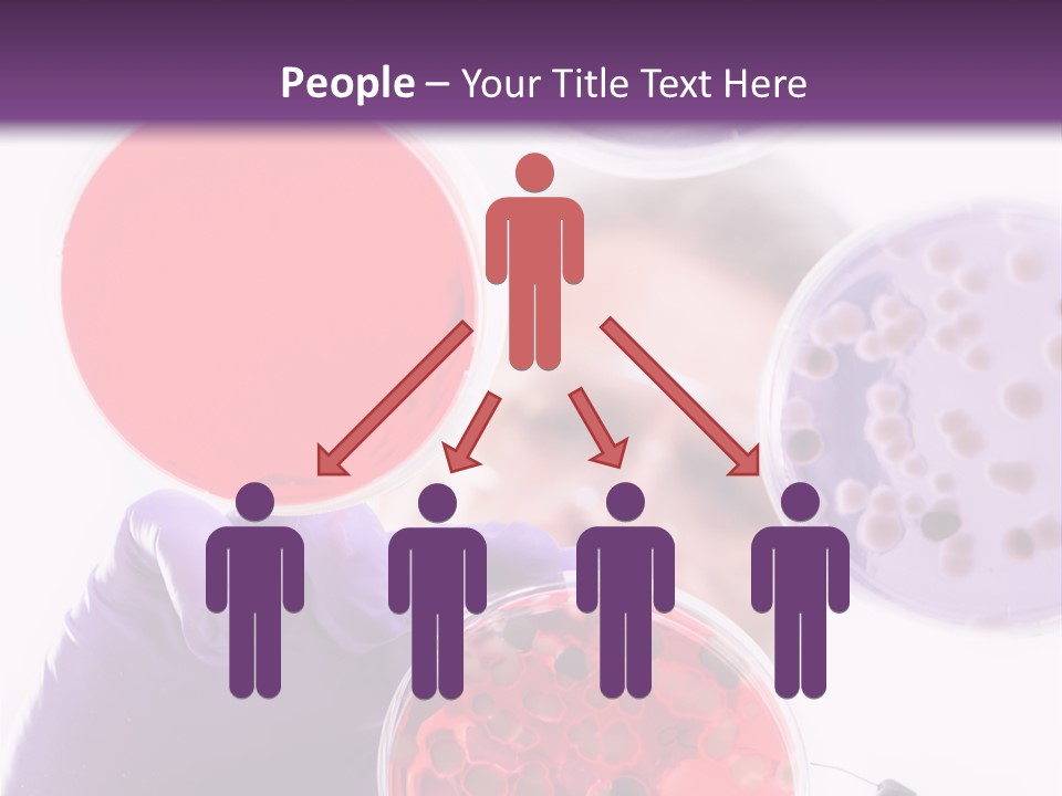 A Man In A Lab Coat Holding A Red Substance PowerPoint Template