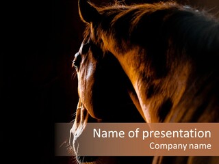 Horse Livestock Stable PowerPoint Template