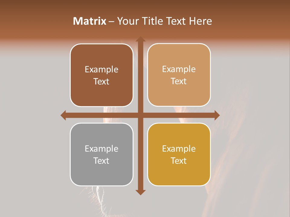 Horse Livestock Stable PowerPoint Template