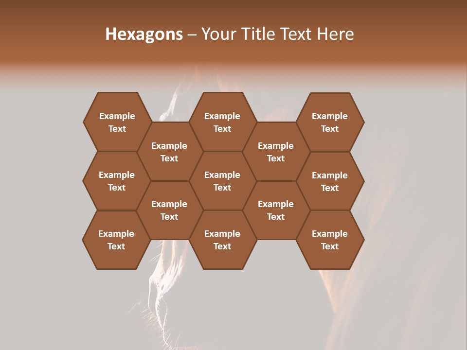 Horse Livestock Stable PowerPoint Template