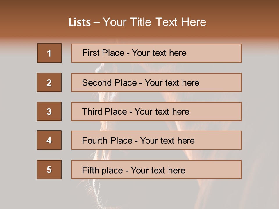 Horse Livestock Stable PowerPoint Template