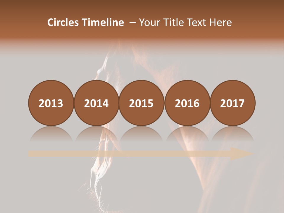 Horse Livestock Stable PowerPoint Template