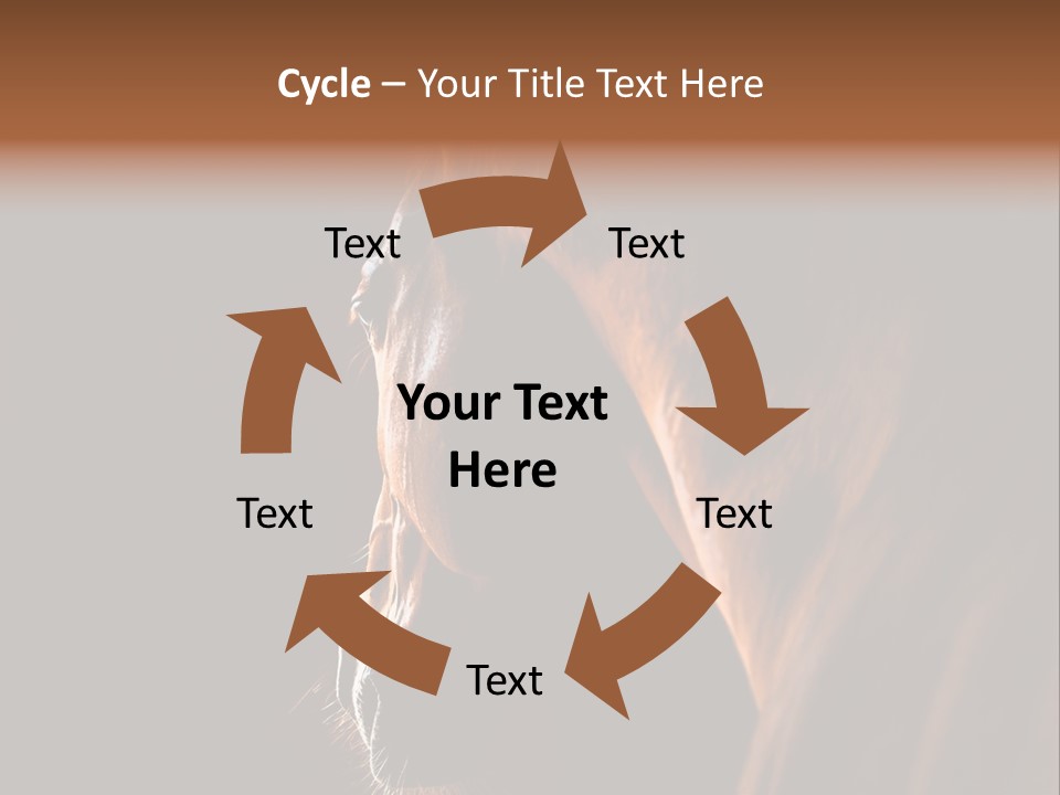 Horse Livestock Stable PowerPoint Template