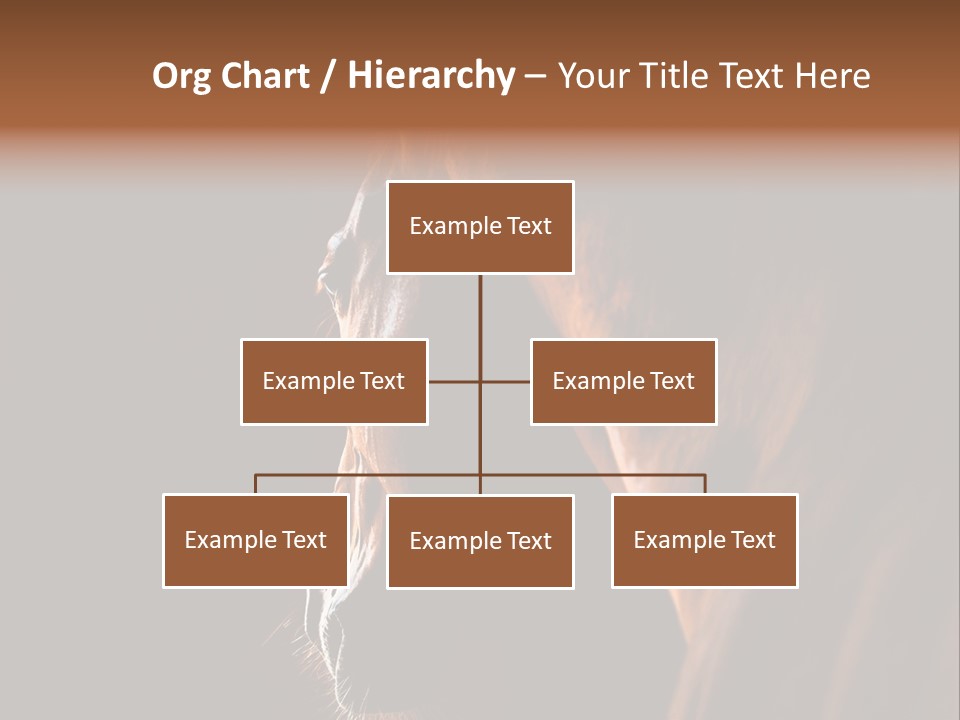 Horse Livestock Stable PowerPoint Template