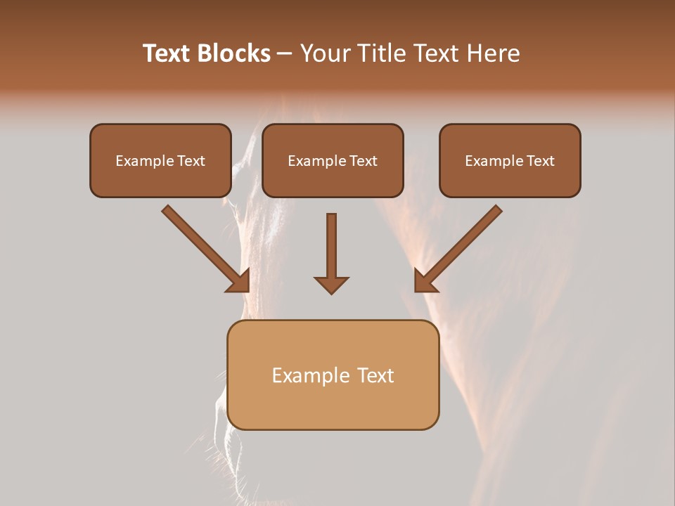 Horse Livestock Stable PowerPoint Template