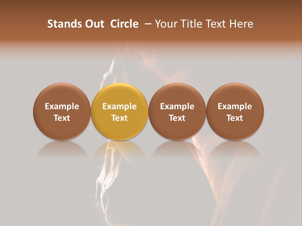 Horse Livestock Stable PowerPoint Template