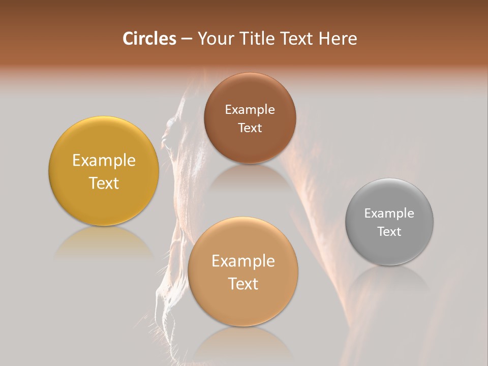 Horse Livestock Stable PowerPoint Template