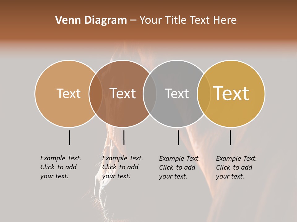 Horse Livestock Stable PowerPoint Template