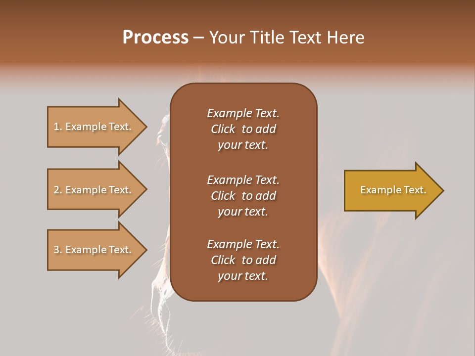 Horse Livestock Stable PowerPoint Template