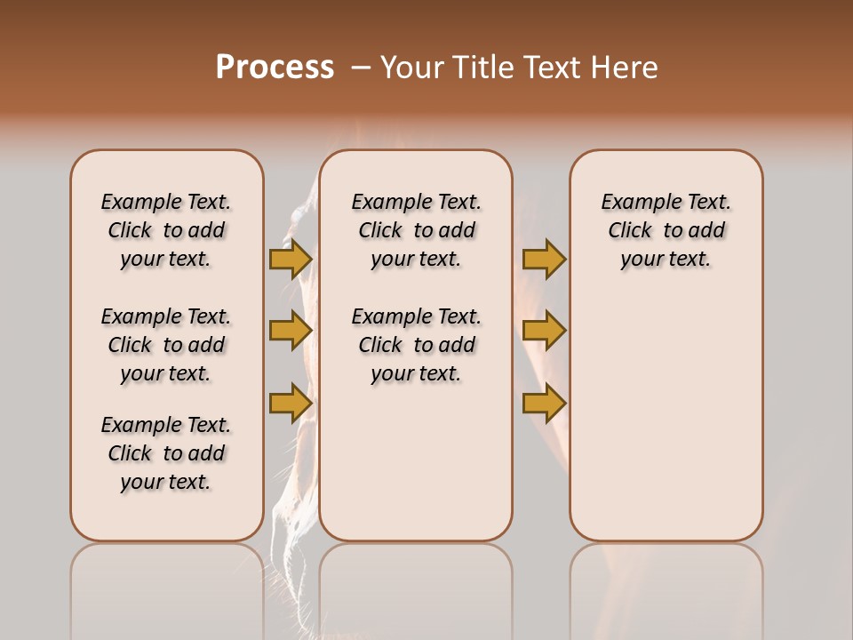 Horse Livestock Stable PowerPoint Template