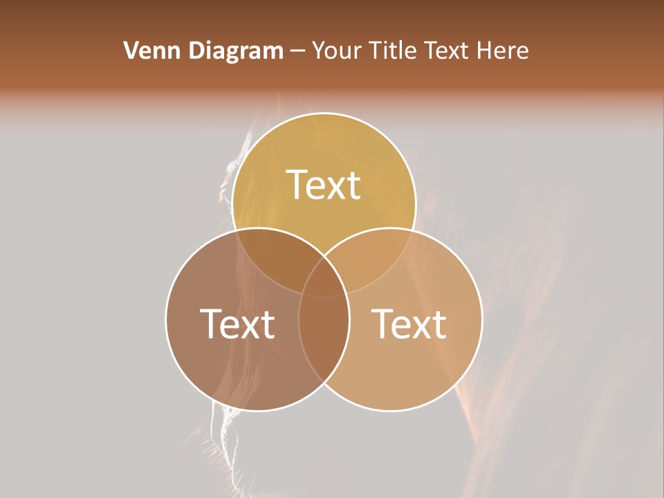 Horse Livestock Stable PowerPoint Template