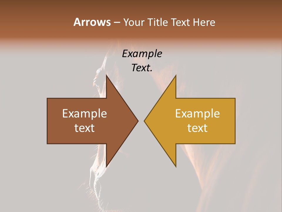 Horse Livestock Stable PowerPoint Template