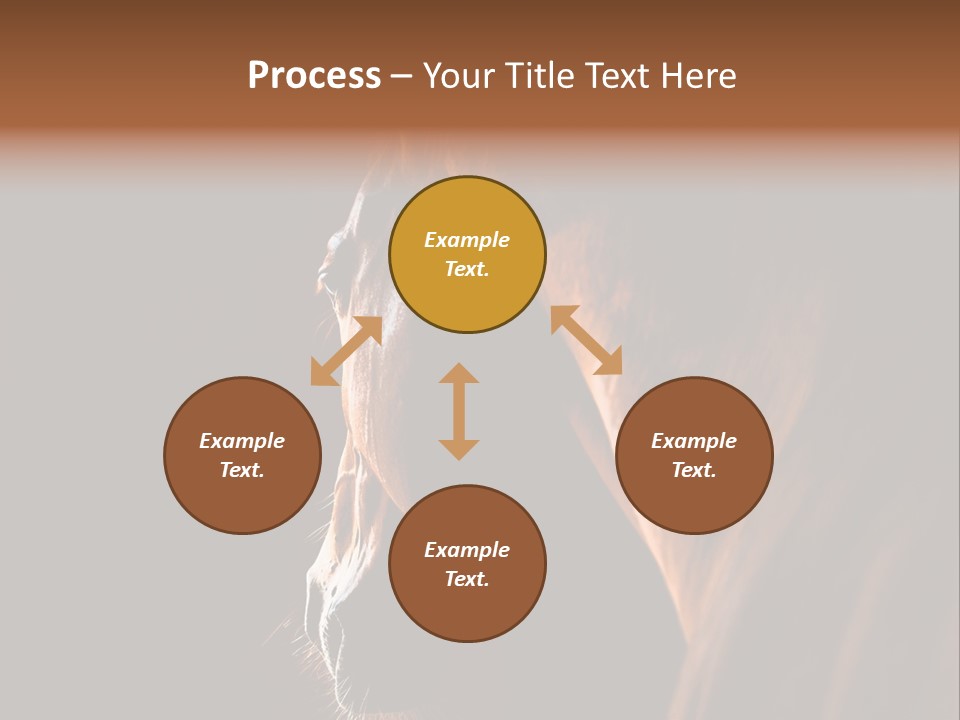 Horse Livestock Stable PowerPoint Template