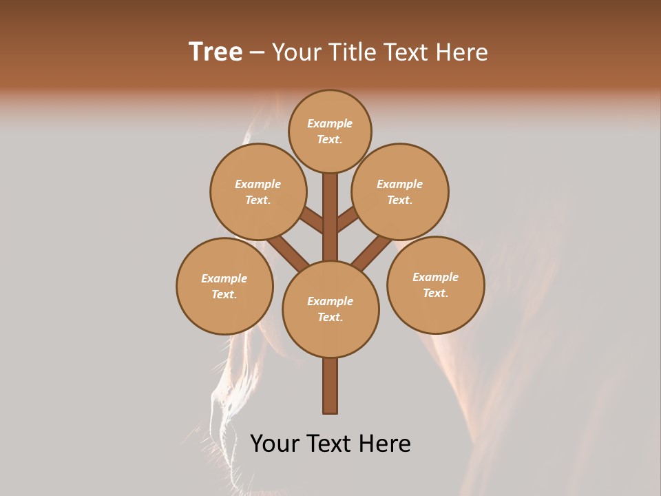 Horse Livestock Stable PowerPoint Template