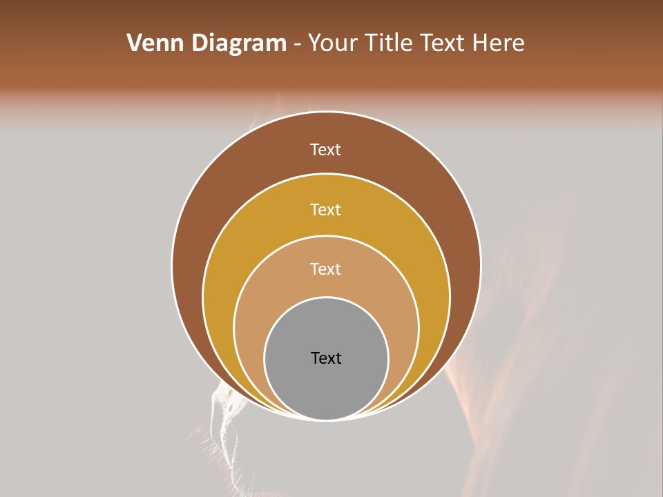 Horse Livestock Stable PowerPoint Template