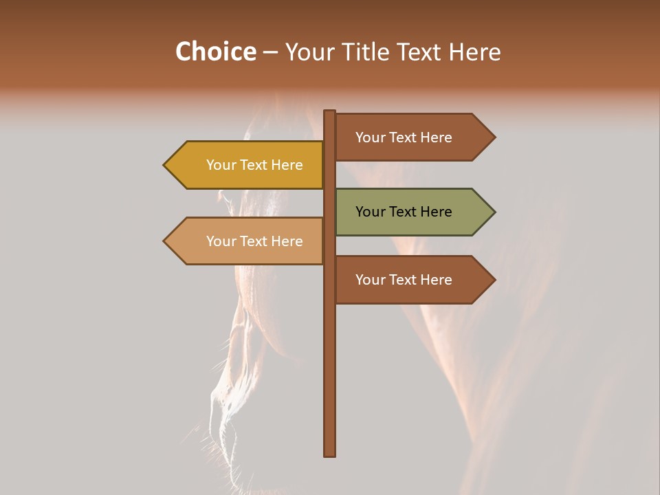 Horse Livestock Stable PowerPoint Template
