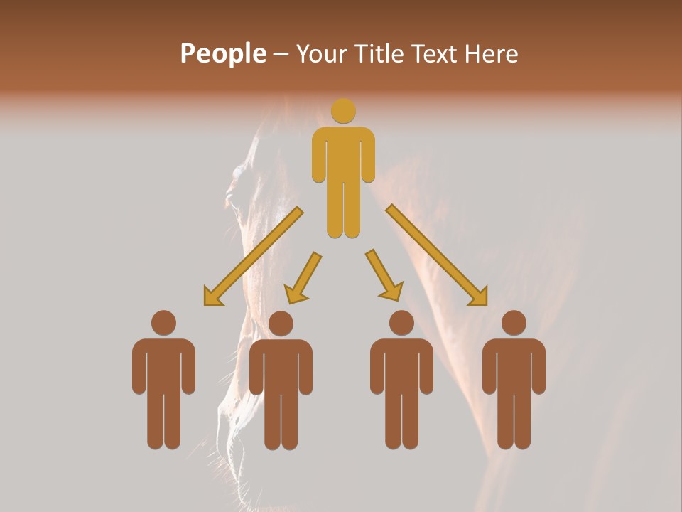 Horse Livestock Stable PowerPoint Template