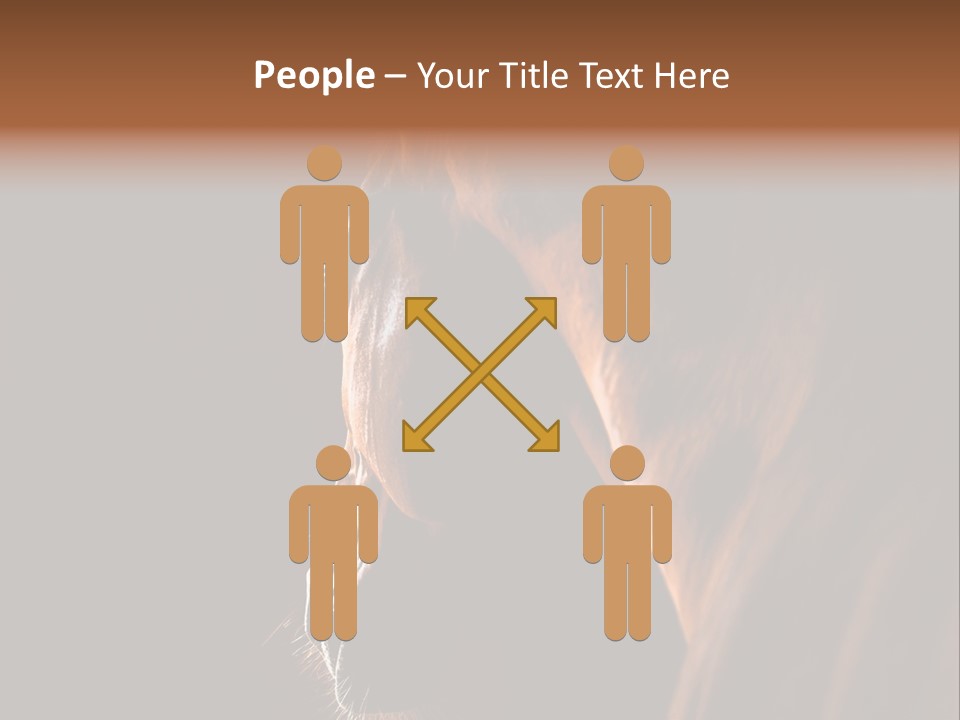 Horse Livestock Stable PowerPoint Template