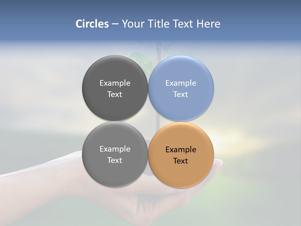 Vegetable Sun Field PowerPoint Template