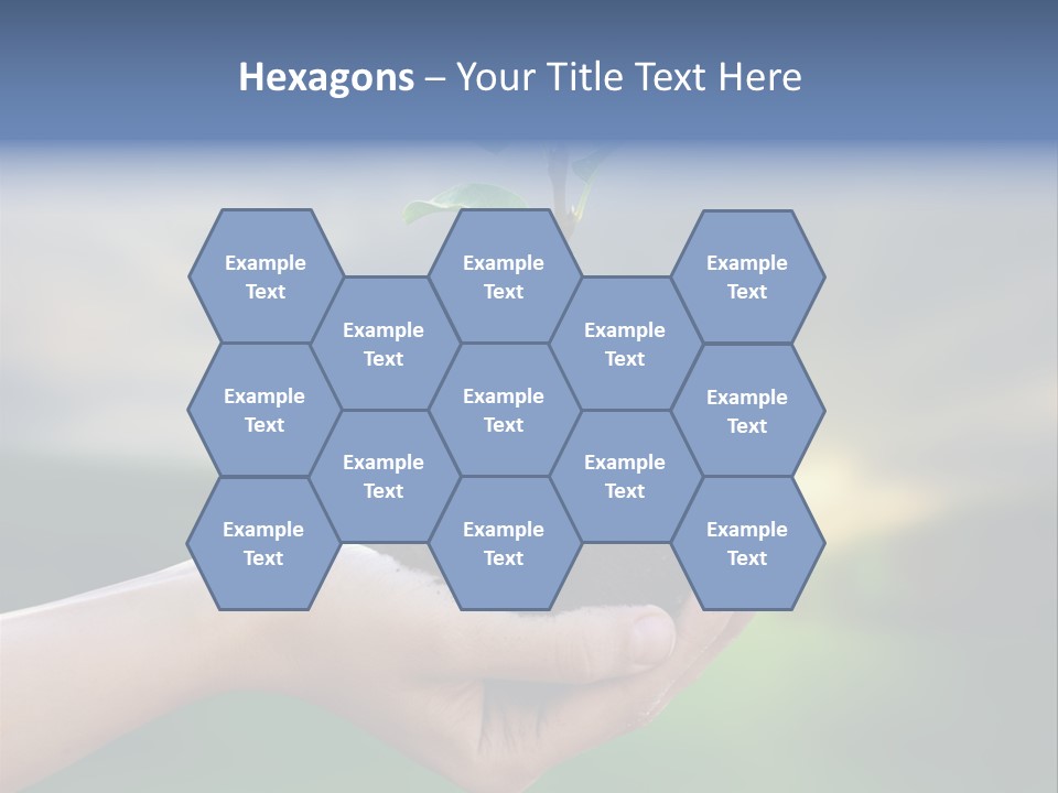 Vegetable Sun Field PowerPoint Template