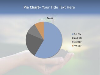 Vegetable Sun Field PowerPoint Template