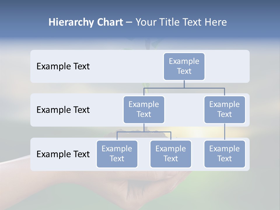 Vegetable Sun Field PowerPoint Template