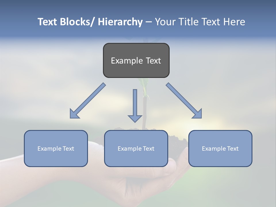 Vegetable Sun Field PowerPoint Template