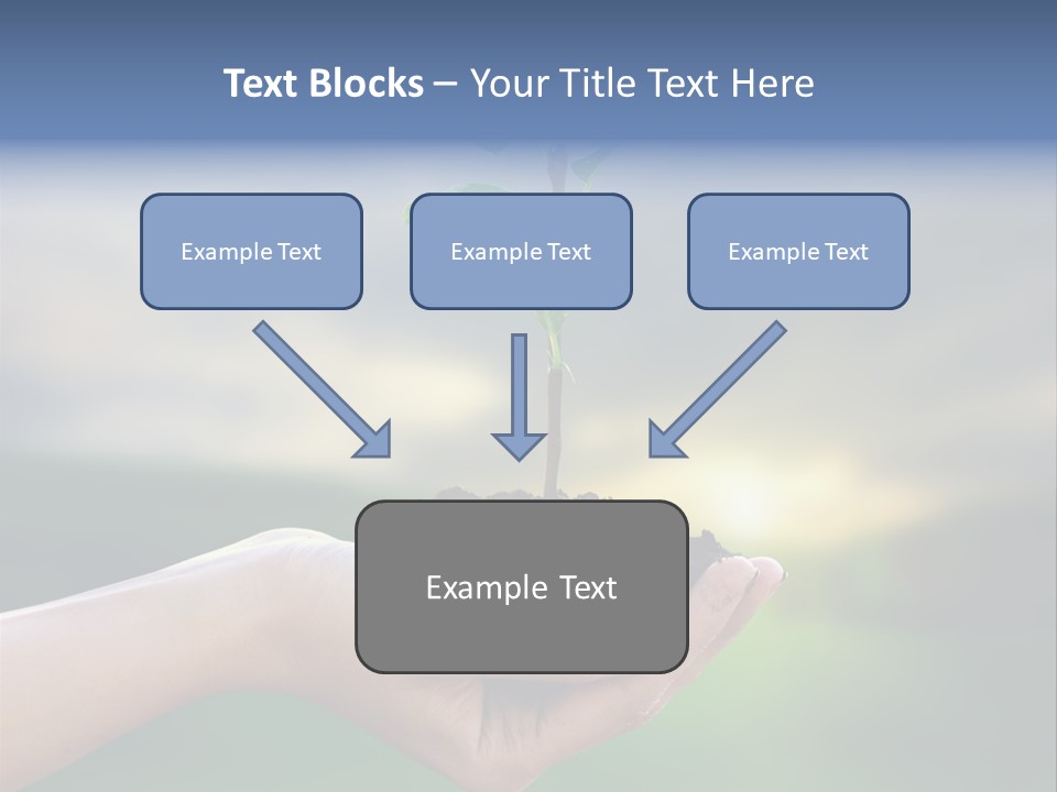 Vegetable Sun Field PowerPoint Template