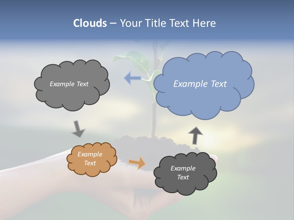 Vegetable Sun Field PowerPoint Template