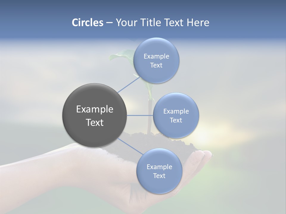 Vegetable Sun Field PowerPoint Template