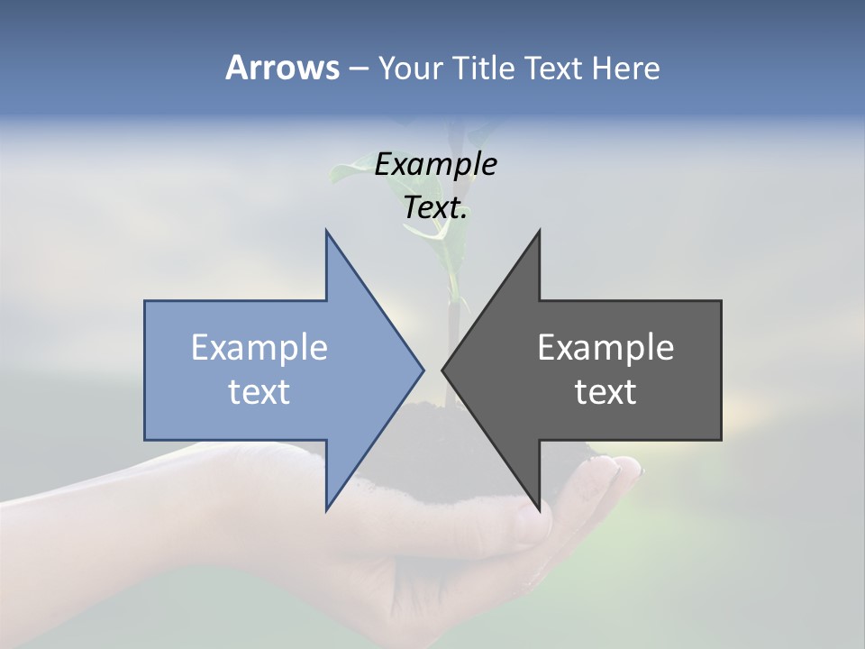 Vegetable Sun Field PowerPoint Template