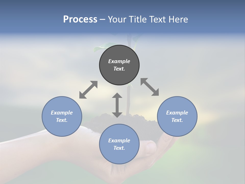 Vegetable Sun Field PowerPoint Template