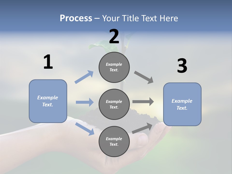 Vegetable Sun Field PowerPoint Template