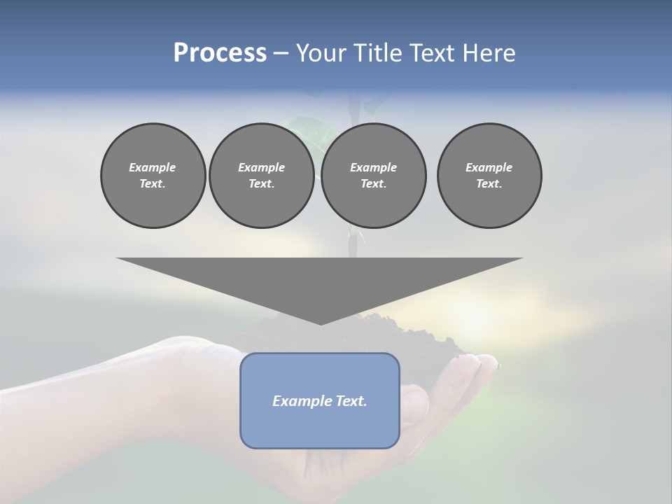 Vegetable Sun Field PowerPoint Template