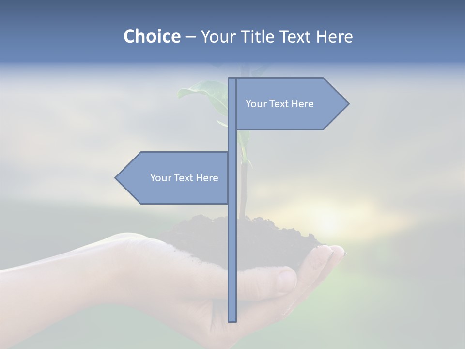 Vegetable Sun Field PowerPoint Template