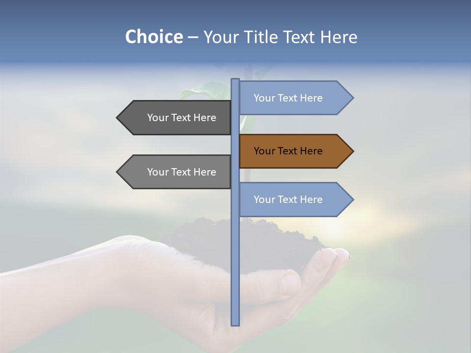 Vegetable Sun Field PowerPoint Template